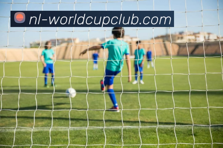 世俱杯投注官网APP 体育赛事宣传图